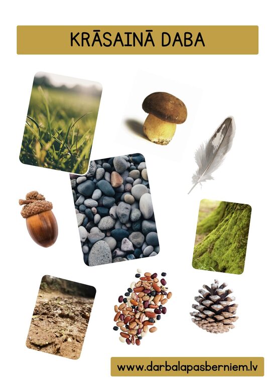 24 PRINTĒJAMAS KARTĪTES - KRĀSAINĀ DABA